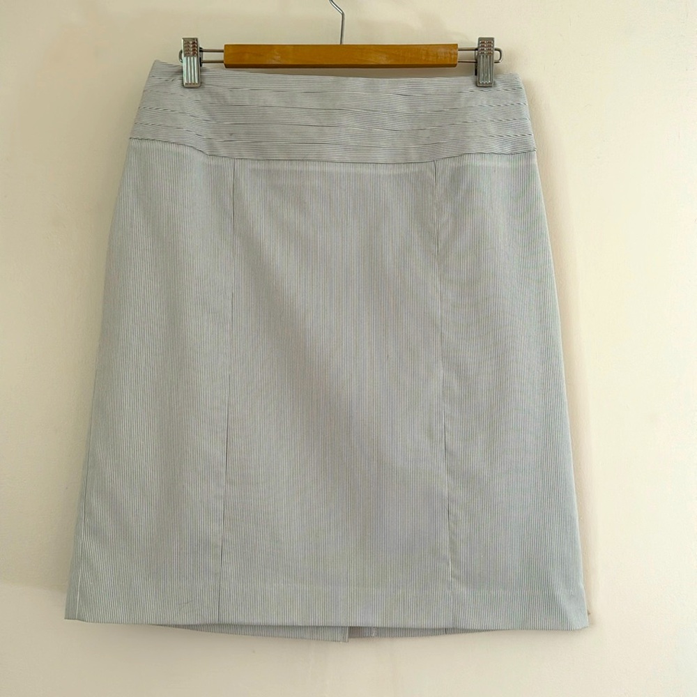 Sharagano Studio skirt